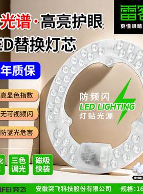 德国进口led灯贴吸顶灯灯芯灯盘替换客厅卧室80W防频闪光源家用节