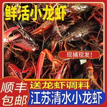 3斤包邮江苏小龙虾鲜活4567钱清水养殖水产活体新鲜特大青红活虾