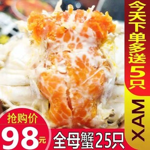活蟹抢25只全母大闸蟹鲜活1.2 1.5两螃蟹老头蟹特大湖蟹香辣蟹