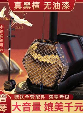 苏州黑檀二胡乐器厂家直销正品入门专业演奏考级铜轴大音量紫檀木