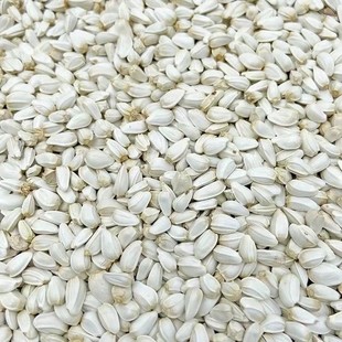 10斤红花籽白瓜子鹦鹉鸟粮仓鼠粮鸽子粮食饲料鸟食红花子5斤包邮