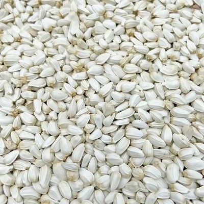 10斤红花籽白瓜子鹦鹉鸟粮仓鼠粮鸽子粮食饲料鸟食红花子5斤包邮