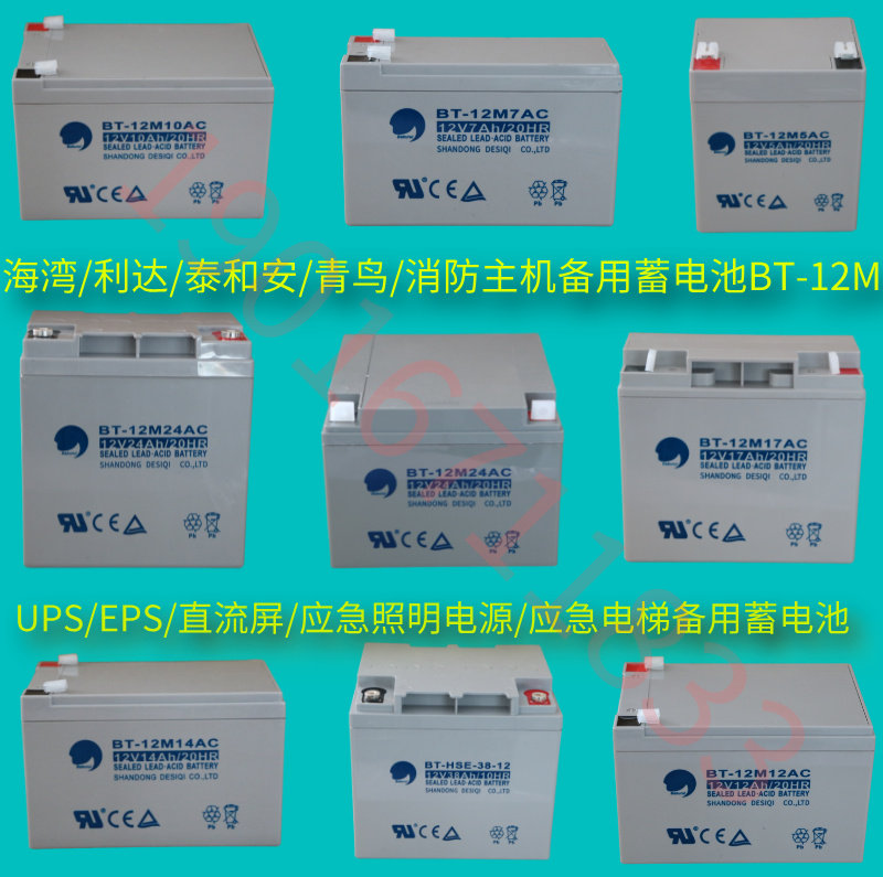 海湾GST松江天成利达泰和安消防主机EPS应急报警备用蓄电池BT-12M