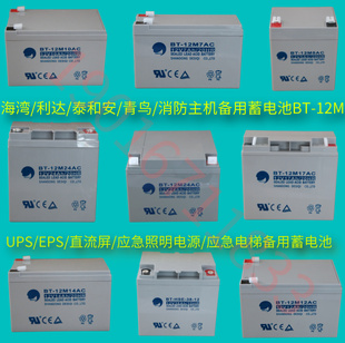 12M 海湾GST松江天成利达泰和安消防主机EPS应急报警备用蓄电池BT