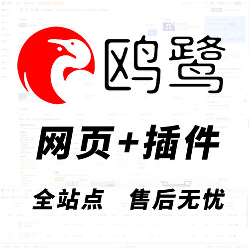 鸥鹭oalur专业版网页插件关键词选品亚马逊卖家精灵会员付费帐号