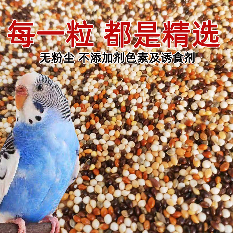 鹦鹉五色黍子中小型混合粮