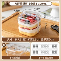 Квадратный мусс, наклейка, 300 мл, 10 штуки