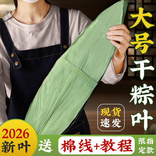 焙小姐粽子叶干的大号特新叶包粽