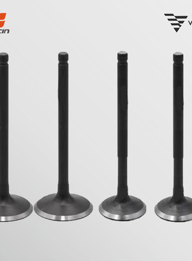 VOGE无极SR150GT踏板车LX150T-29隆鑫KS150气门组件原厂配件