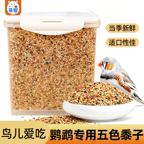 冠之亚鹦鹉五色黍子混合粮