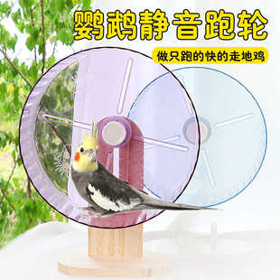 虎皮玄凤鹦鹉跑轮鸟类解压益智陪伴笼内玩具手养鸟自嗨专用训练1