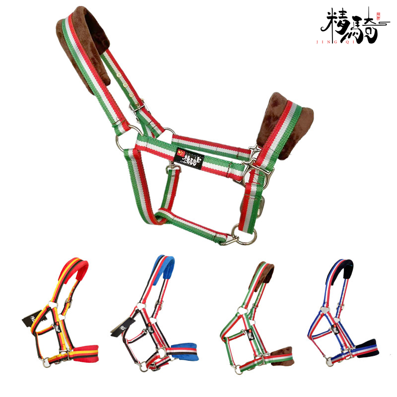 马术马笼头新品彩色调教笼头