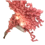 Смоделированные цветы японское вишневое дерево