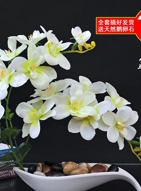 蝴蝶兰欧式花卉前台手感装饰摆件
