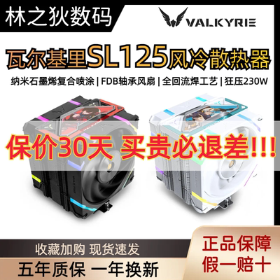 散热器VALKYRIE/瓦尔基里6热管