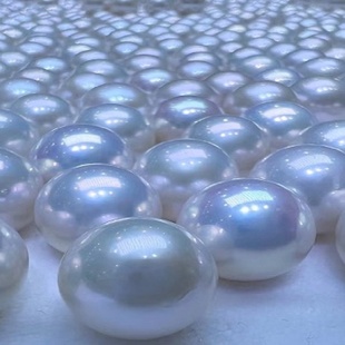 福利蚌 单珠河蚌爱迪生珍珠 一蚌一珠天然直播活体开蚌取珍珠紫色