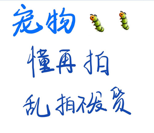 宠物驱虫内部链接猫狗