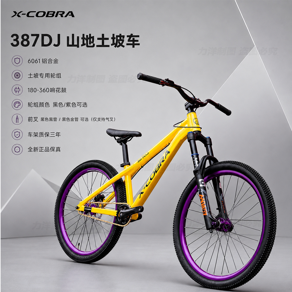 眼镜蛇387dj硬尾土坡车进阶级别