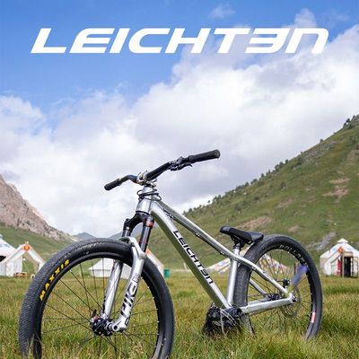 德国来登高强度铝合金山地车