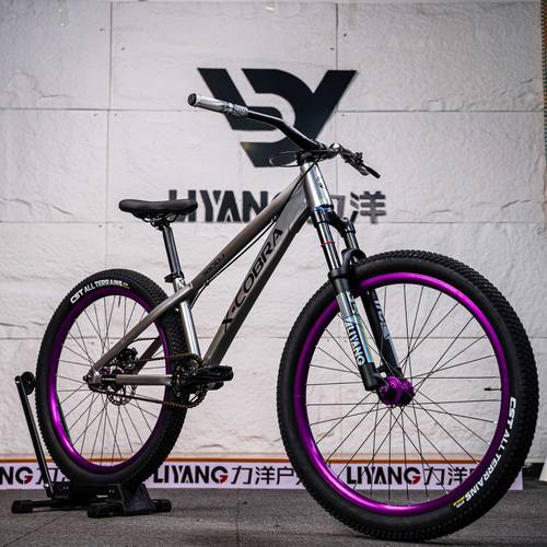 X-COBRA380DJ单速山地自行车