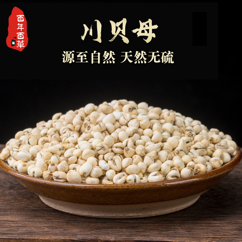 川贝母中药材四川阿坝非野生川贝母打粉老陈皮正品无硫品质贝母