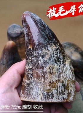 披毛犀整角摆件鱼子纹清晰实心牛角原料摆件养生纯天然亚非料收藏