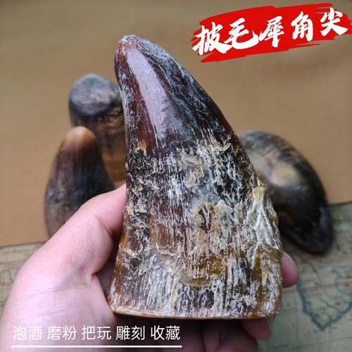 披毛犀整角摆件鱼子纹清晰实心牛角原料摆件养生纯天然亚非料收藏
