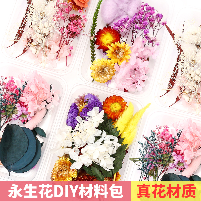 天然干花永生花假花仿真花儿童手工diy幼儿园自制团扇贴画材料包