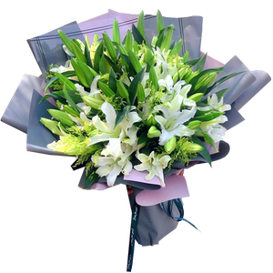 母亲节康乃馨鲜花手提花篮北京同城鲜花速递生日妈妈长辈老师送花
