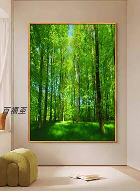 阳光大森林树林绿草地大自然风景画挂画墙画绿色装饰画壁画树木画