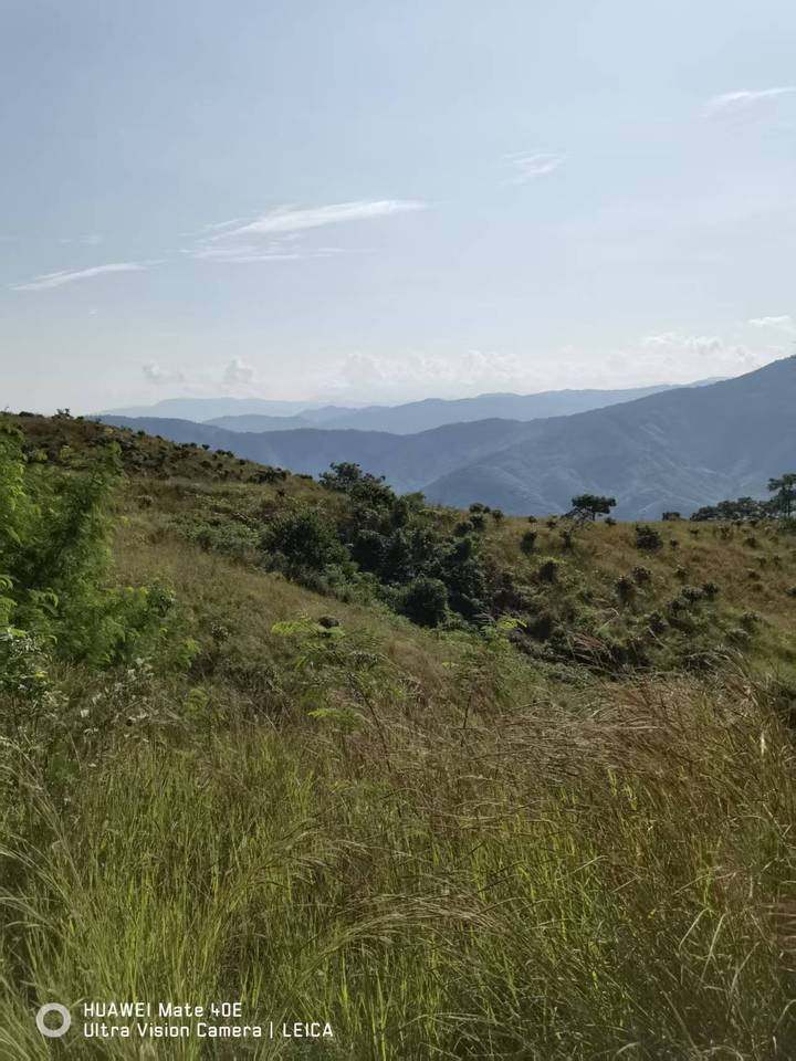 变卖华坪县石龙坝乡龙泉村委会七组149.4亩林木所有权、林地使用权