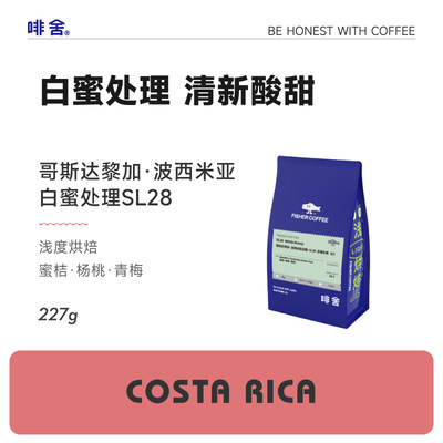 哥斯达黎加白蜜处理SL28咖啡豆