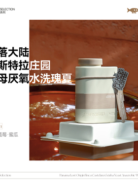 【黑牌甄选】Fisher巴拿马失落大陆lost origin瑰夏咖啡豆100g