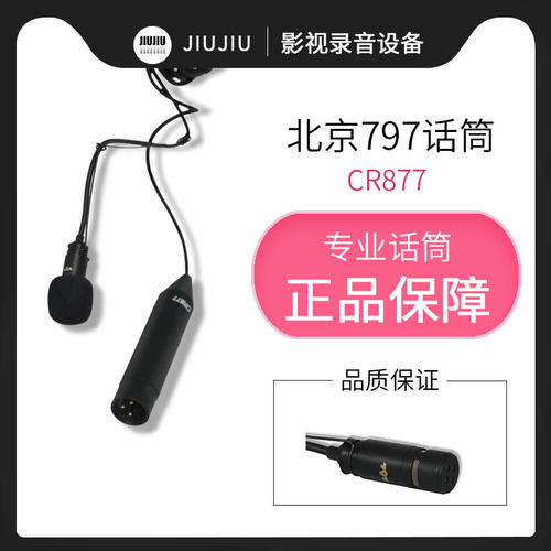 北京吊顶悬挂式舞台大合唱麦克风
