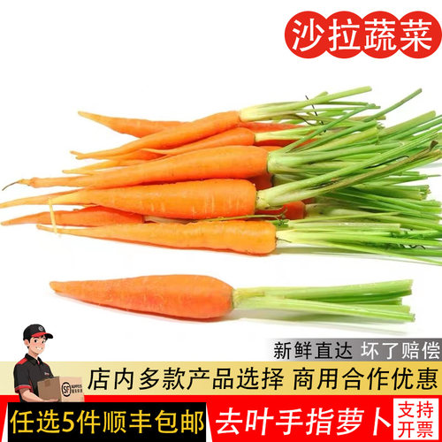 新鲜去叶手指萝卜迷你水果胡萝卜