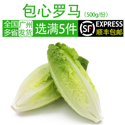 新鲜罗马蔬菜价格 新鲜罗马蔬菜图片 星期三