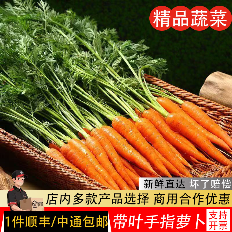 手指萝卜新鲜胡萝卜迷你蔬菜沙拉