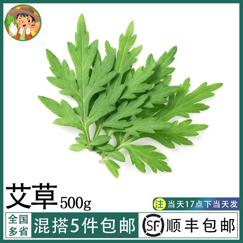 艾草新鲜食用嫩叶艾叶糍粑青团