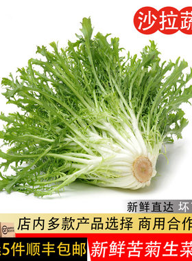 苦菊新鲜苦细叶苦叶生菜健身轻食