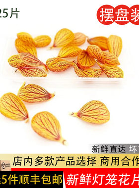 新鲜灯笼花金玲花风铃花灯笼