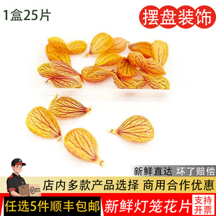 新鲜灯笼花 金玲花 风铃花灯笼花瓣25片餐饮酒店日料摆盘装饰鲜花