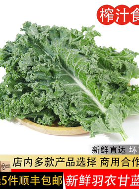 新鲜羽衣甘蓝嫩叶甘兰叶西餐食材健身榨汁轻食沙拉蔬菜kale沙拉菜