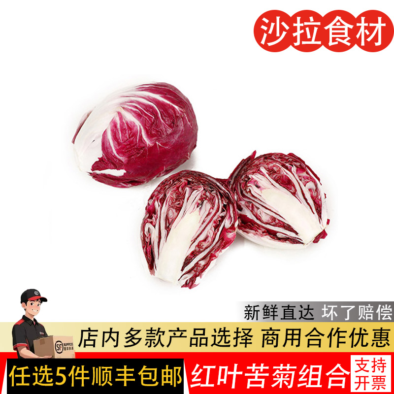 新鲜落地球500g生菜紫苣红菊苣