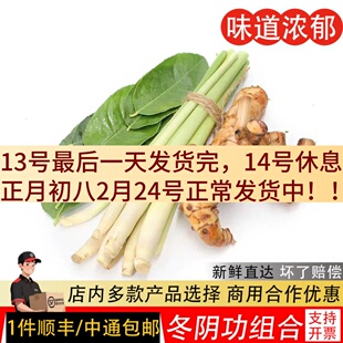 冬阴功汤料新鲜香茅草食用南姜柠檬叶柠檬南姜火锅酸辣汤冬荫功