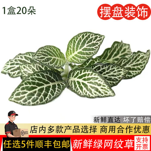新鲜网纹草20朵/盒日料点缀鲜花
