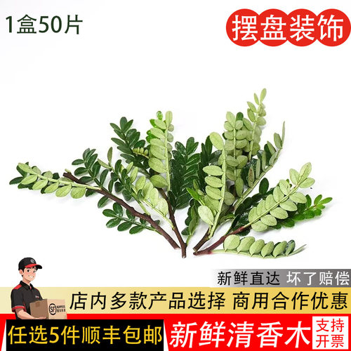 新鲜清香木50片胡椒木香叶西餐酒店饮品蛋糕摆盘装饰日料烘焙点缀