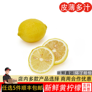 四川安岳黄柠檬新鲜水果店用当季鲜柠檬泡水调酒奶茶原料坏果包赔