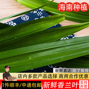 斑斓叶新鲜食用香兰叶班兰叶蛋糕烘焙甜品千层糕芒果糯米饭500g