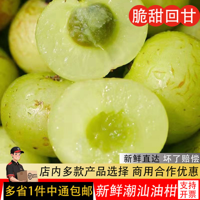 新鲜油甘果5斤余甘果牛甘子当季