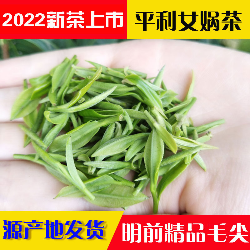 平利女娲茶明前特级毛尖茶安康富硒茶一级高山绿茶2022年新茶袋装